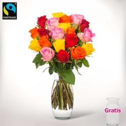 Blumen und Präsente von 123Blumenversand. Angebot "Bunte Fairtrade Rosen im Bund" ab 29.99 zzgl. Lieferung.