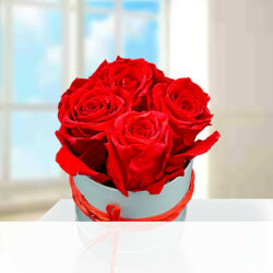 Blumen und Präsente von 123Blumenversand. Angebot "4 rote haltbare Rosen in Hutschachtel" ab 38.99 zzgl. Lieferung.