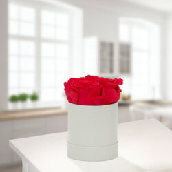 Blumen und Präsente von FloraPrima. Angebot "4 rote haltbare Rosen in Hutschachtel" ab 38.99 zzgl. Lieferung.