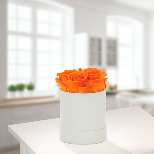 Blumen und Präsente von FloraPrima. Angebot "4 orange haltbare Rosen in Hutschachtel" ab 38.99 zzgl. Lieferung.