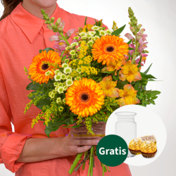 Blumen und Präsente von FloraPrima. Angebot "Blumenstrauß Sonnentag" ab 34.99 zzgl. Lieferung.